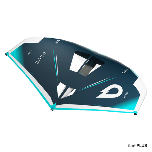 Gong Plus Wing 2025 - Image 7