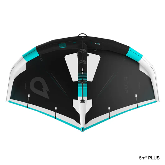 Gong Plus Wing 2025 - Image 5